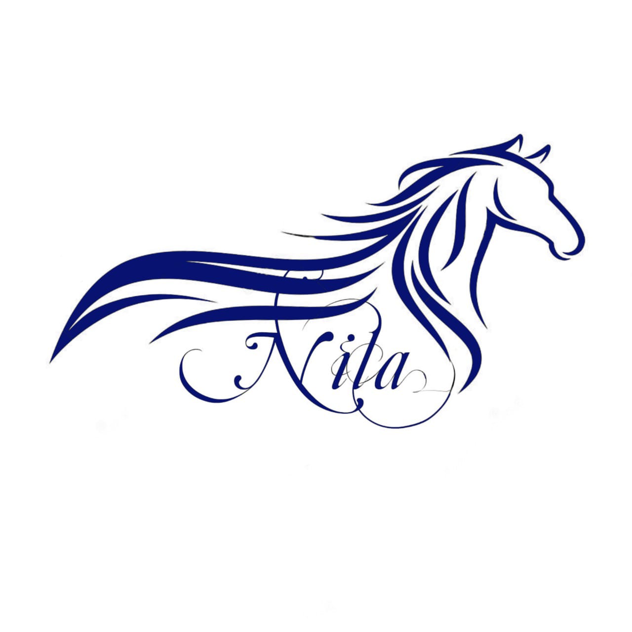 Horse riding logo